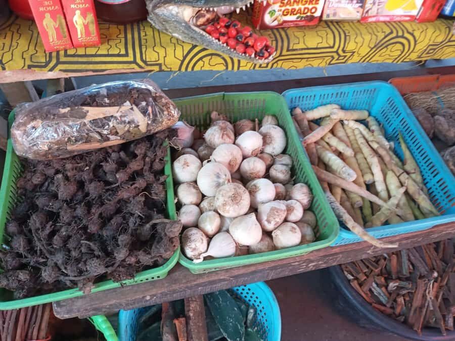 Belen Market & Floating City 2-3 Hour Private Tour - Time, Heat, and Footwear: Getting the Most From 150 Minutes