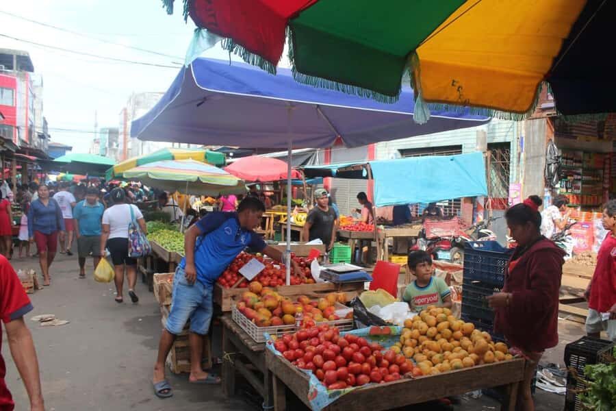 Belen Market & Floating City 2-3 Hour Private Tour - Price and Value: What $40 Buys in Iquitos