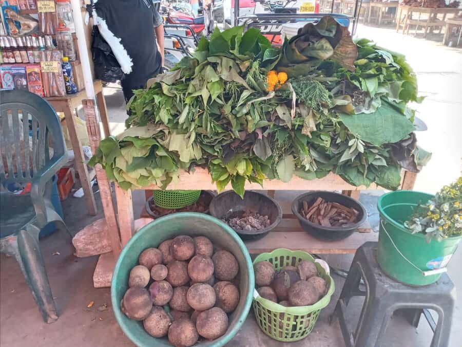 Belen Market & Floating City 2-3 Hour Private Tour - Belen Market: Jungle Foods, River Finds, and Traditional Medicine