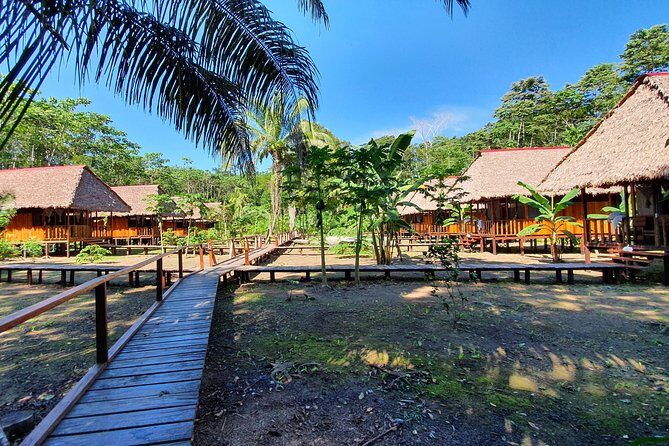 Best of Tambopata 2 nights by JunglePro - Lodging and Food: Jungle Comfort Without the Guesswork