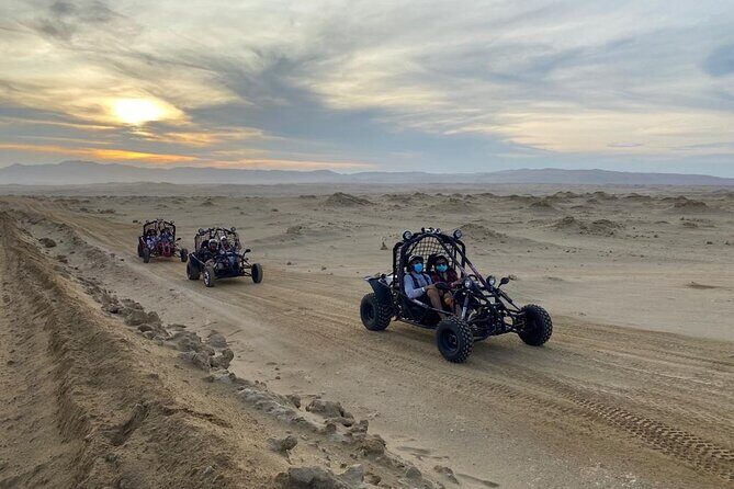 Buggy ride in Paracas National Reserve - Viewpoint Stops: Where the Time Actually Goes