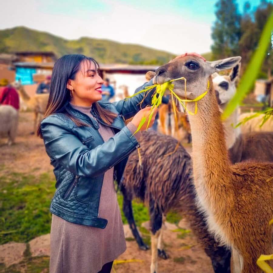 BUS 180 CUSCO - Who this tour suits best (and who should skip it)
