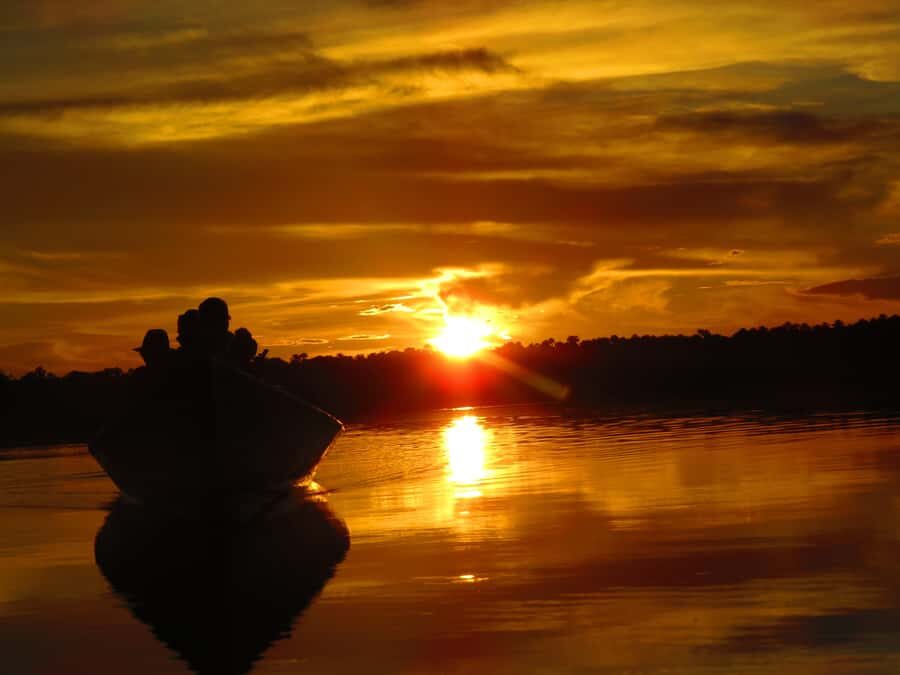 Capibara and caiman search on the Tambopata river - Key things that make this Tambopata cruise worth your time