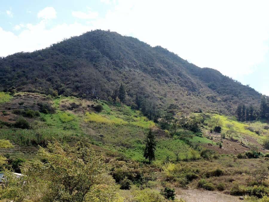 Chiclayo: Chaparri Ecological Reserve Tour - Dry-forest wildlife watching: what you can realistically hope to see