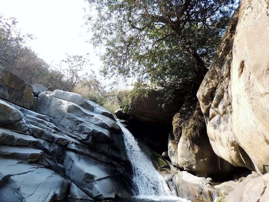 Chiclayo: Chaparri Ecological Reserve Tour - Tinajones Reservoir detour: more birds, a change of pace