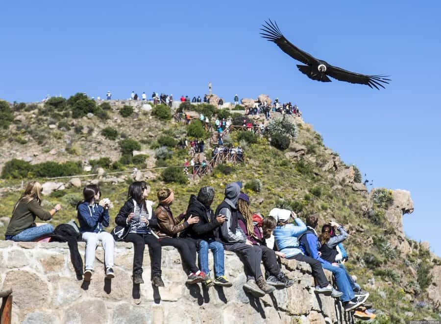 Colca Canyon: 2-Day Tour from Arequipa to Puno - Day 1: Arequipa to Chivay via Pampa Cañahuas, glaciers, and volcano stops