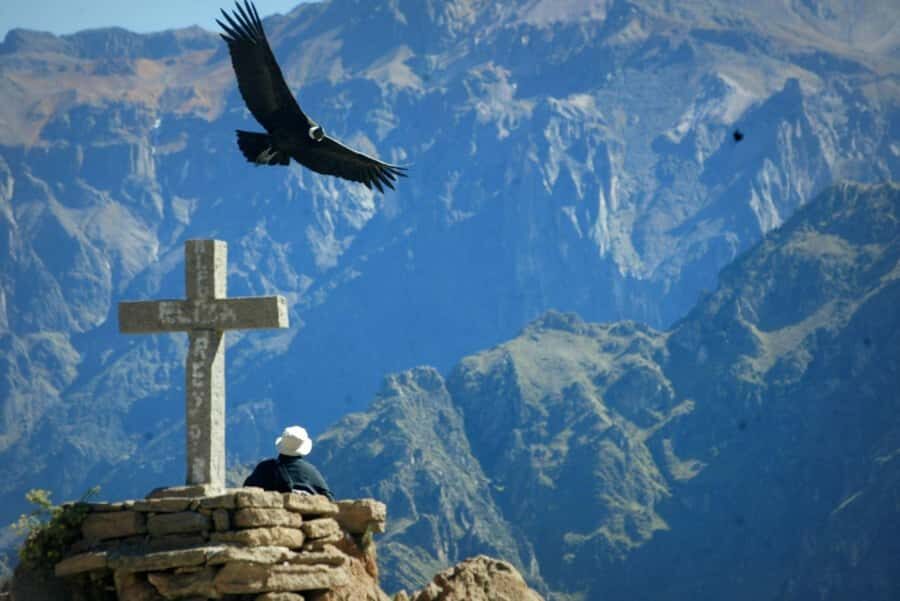 Colca Canyon Day Trip: From Arequipa to Puno - Arrival in Puno around 7:00 PM and the Lake Titicaca finish