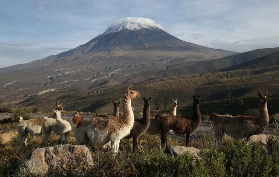 COLCA CANYON FULL DAY TOURS - The 3:00am pickup and the ride to Chivay