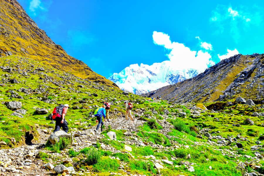 Cusco: 5-Day Salkantay Ultimate Trek to Machu Picchu - Day 3: Cloud Forest Descent to Playa Sahuayaco and Lucmabamba Living