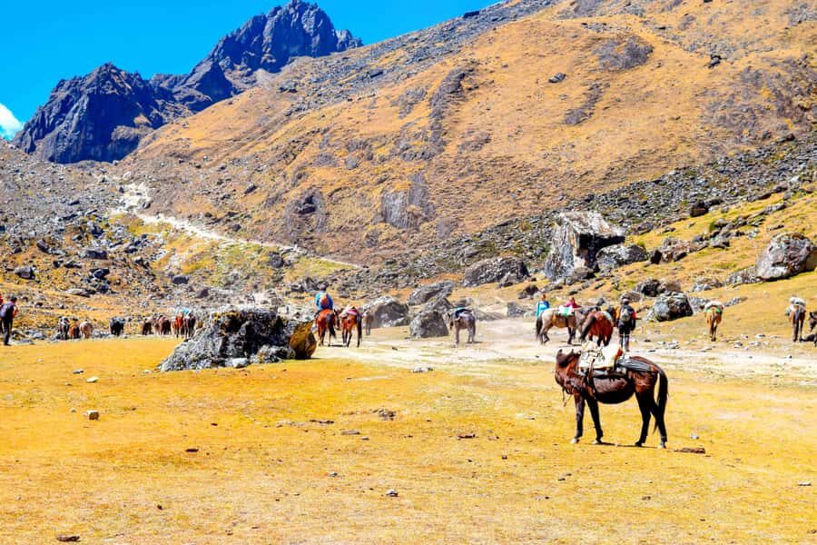 Cusco: 5-Day Salkantay Ultimate Trek to Machu Picchu - Day 4: Llactapata Terraces for a First Machu Picchu View, Then Down to Aguas Calientes