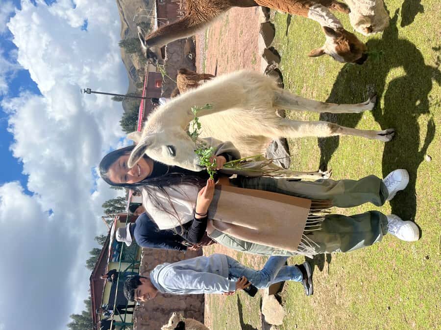 Cusco: Archeological Sites Tour and Forest Photo Experience - Sacsayhuaman: Solar Sanctuary and Giant Limestone Blocks