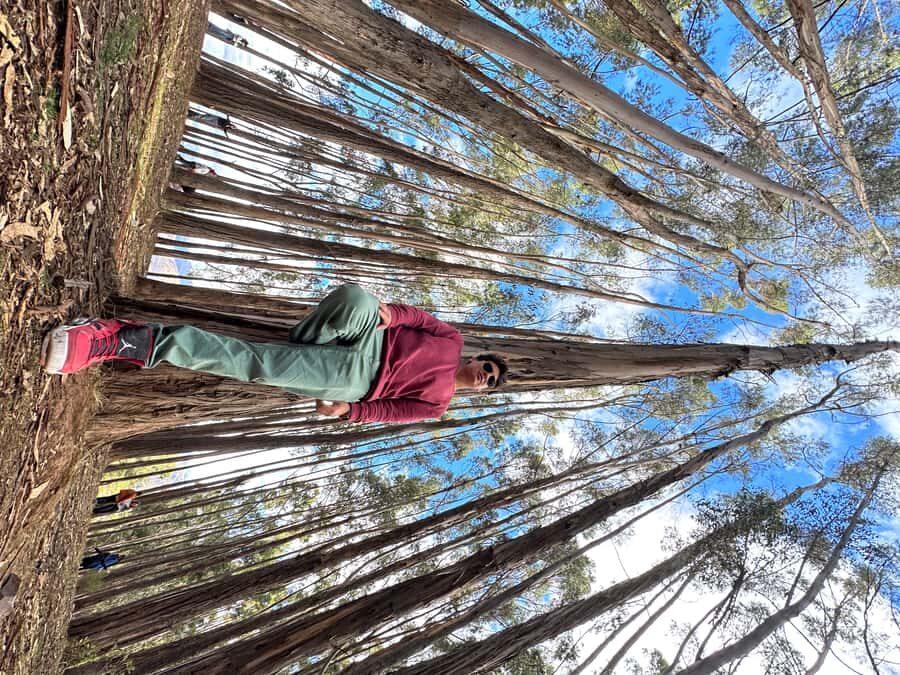Cusco: Archeological Sites Tour and Forest Photo Experience - Price, Tickets, and the Real Cost of Doing It Right