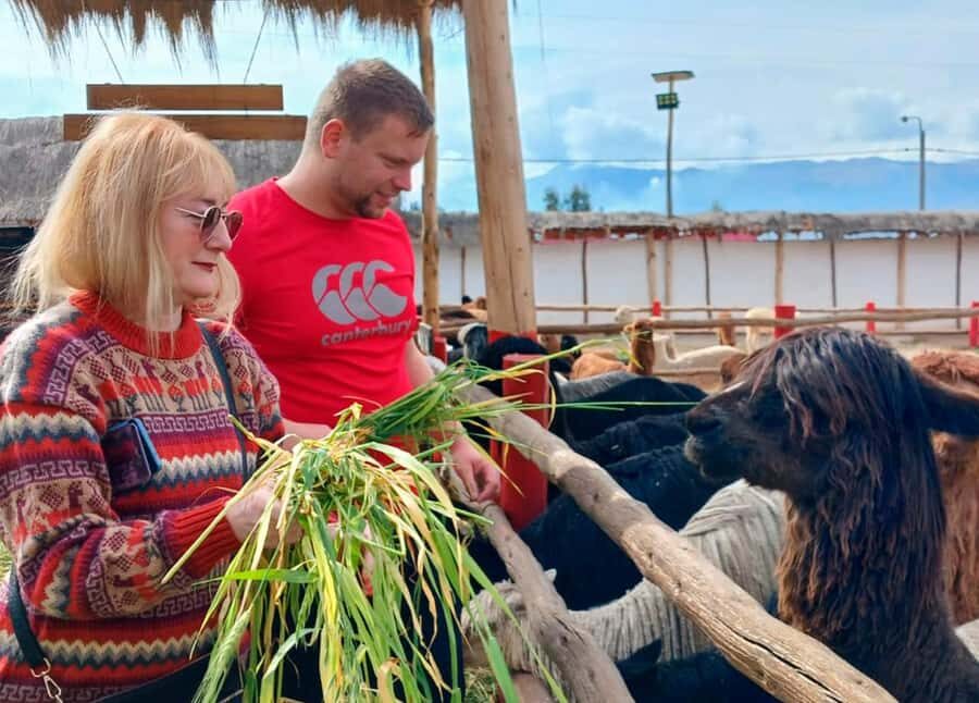 Cusco: Archeological Sites Tour and Forest Photo Experience - Logistics That Can Make or Break a Short Tour