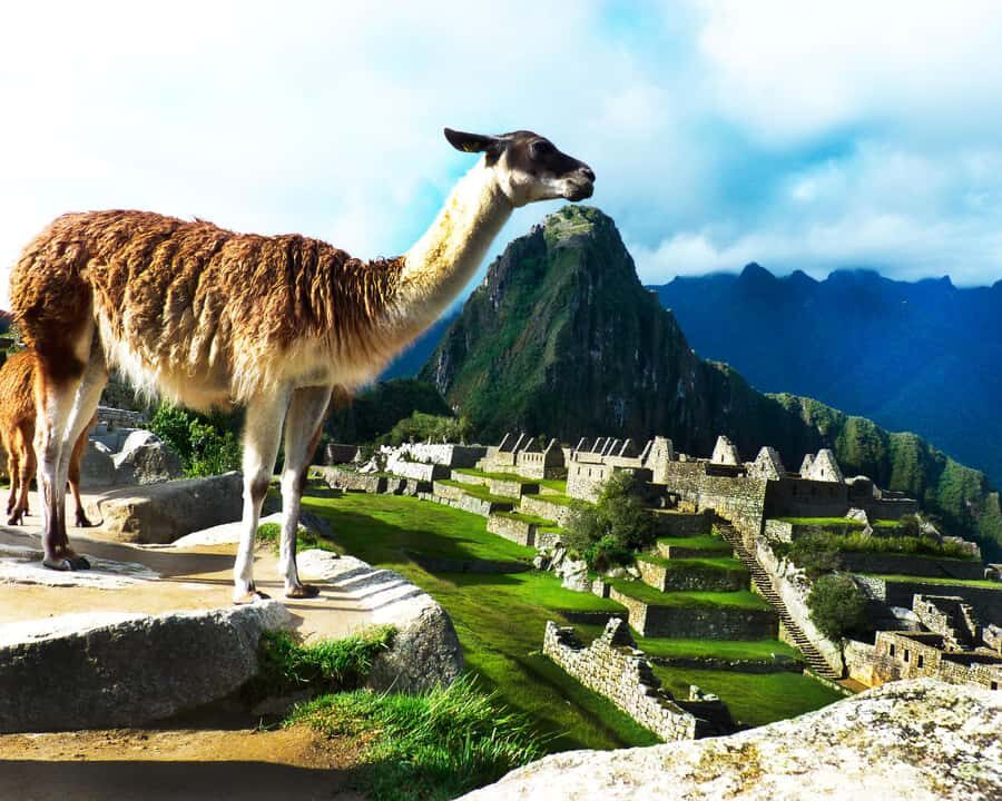 CUSCO: Full Day All Included Private Machu Picchu Experience - What You Should Do With Your 2½ Hours at Machu Picchu