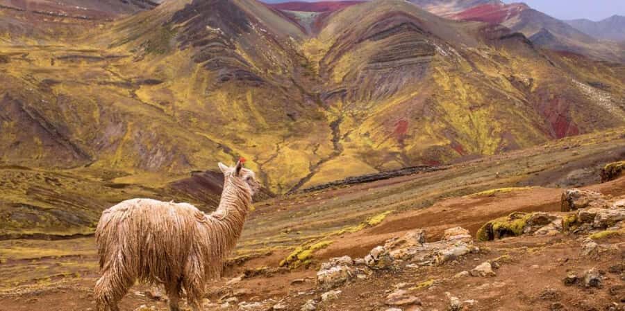 Cusco : Palcoyo - Rainbow Mountain Hidden Sister - Cusipata breakfast stop: the real energy hack for altitude trekking