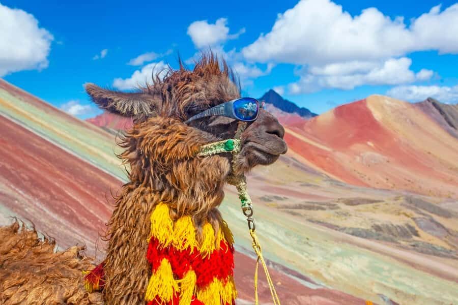Cusco : Rainbow Mountain and Red Valley Tour - The Vinicunca hike: pacing, altitude, and the views to chase
