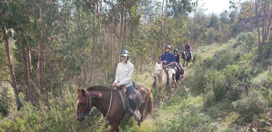 Cusco: Sacsayhuaman Guided Tour and 1-Hour Horseback Ride - Key things I’d pay attention to