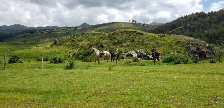 Cusco: Sacsayhuaman Guided Tour and 1-Hour Horseback Ride - Price and value: what $90 really buys in 4 hours