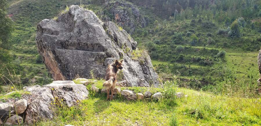 Cusco: Sacsayhuaman Guided Tour and 1-Hour Horseback Ride - FAQ