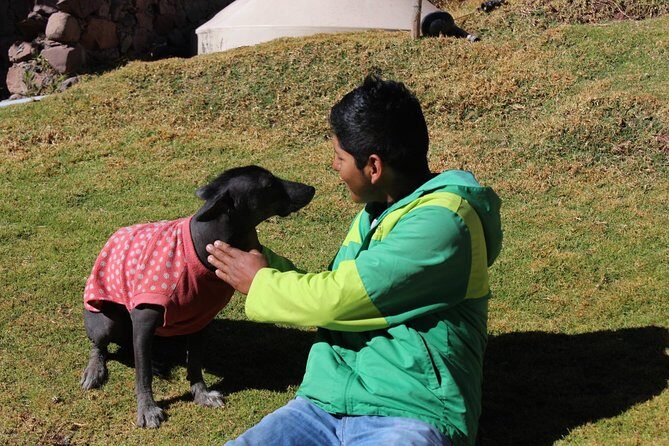 Cusco Santuario de Animales Rescatados en Cusco - Where the tour feels “private” (and why that matters)