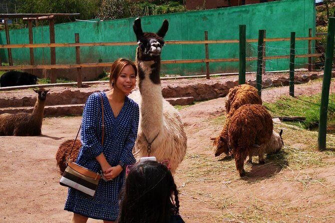 Cusco Santuario de Animales Rescatados en Cusco - Time after the tour: flexible return to Cusco’s center