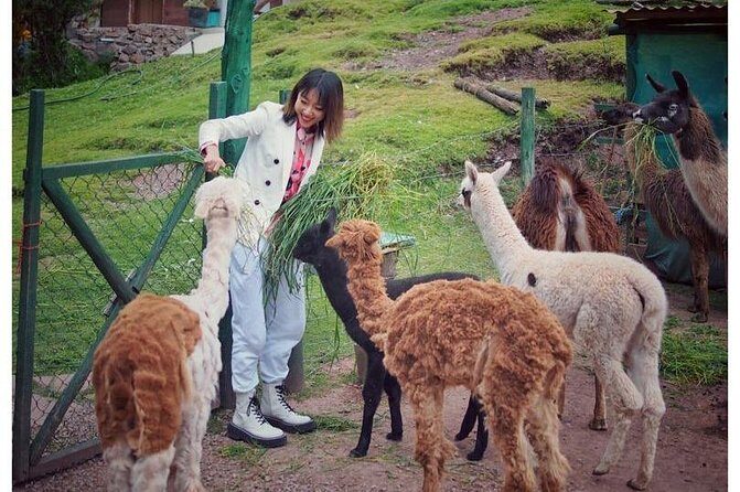 Cusco Santuario de Animales Rescatados en Cusco - Price and value: why $34 can still feel fair
