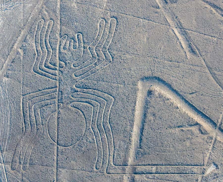 Discover Paracas, Ica and Nasca in a 2 days and 1 night trip - Ica in the mix: city time plus pisco production learning