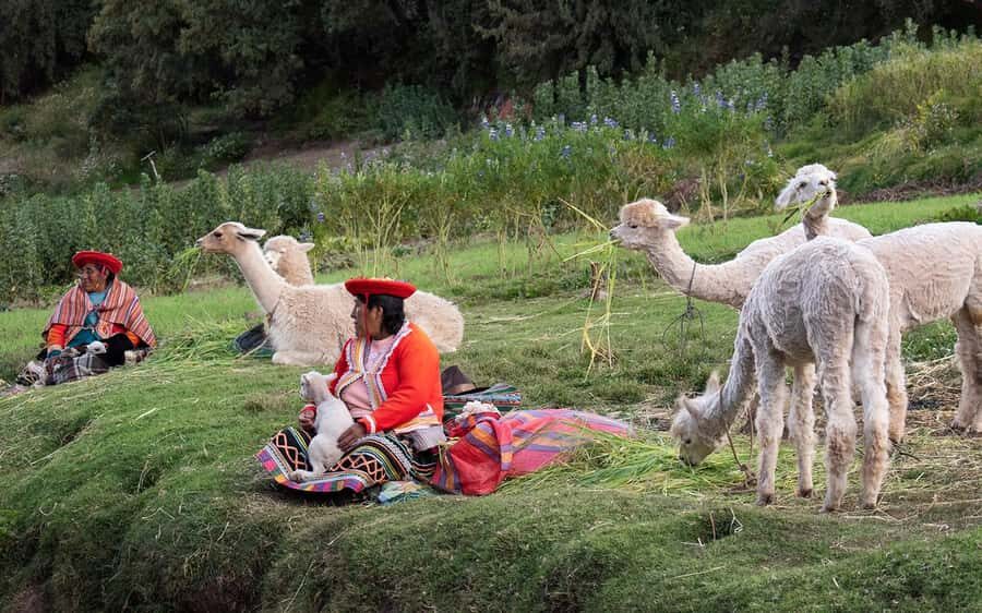 ECONOMIC PRIVATE TOUR IN THE CITY OF CUSCO - HALF DAY - Your Driver-Guide Makes the Difference