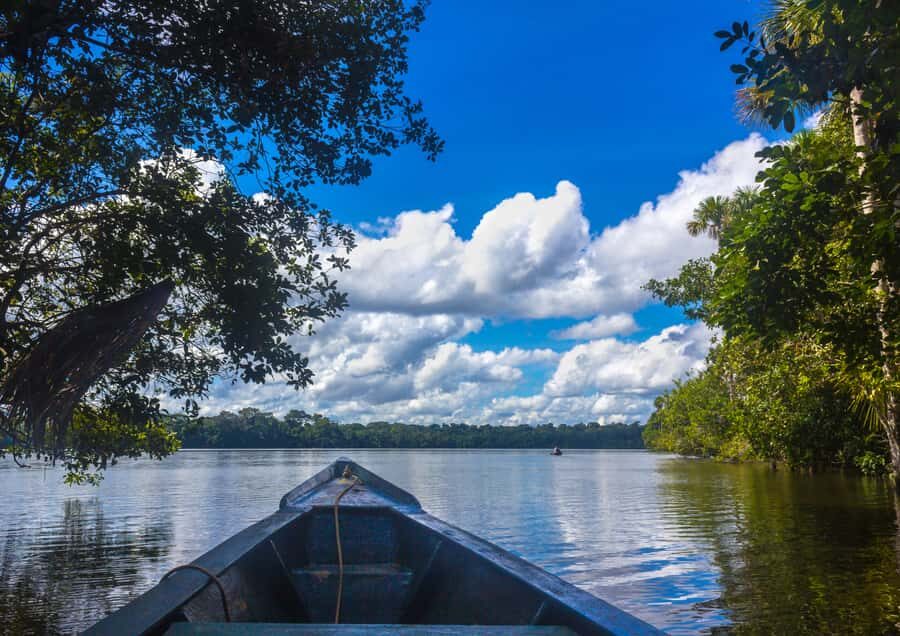 Excursion 3 days/2 nights in the jungle - Day 2: early river travel to Sandoval, plus parrots at the clay lick
