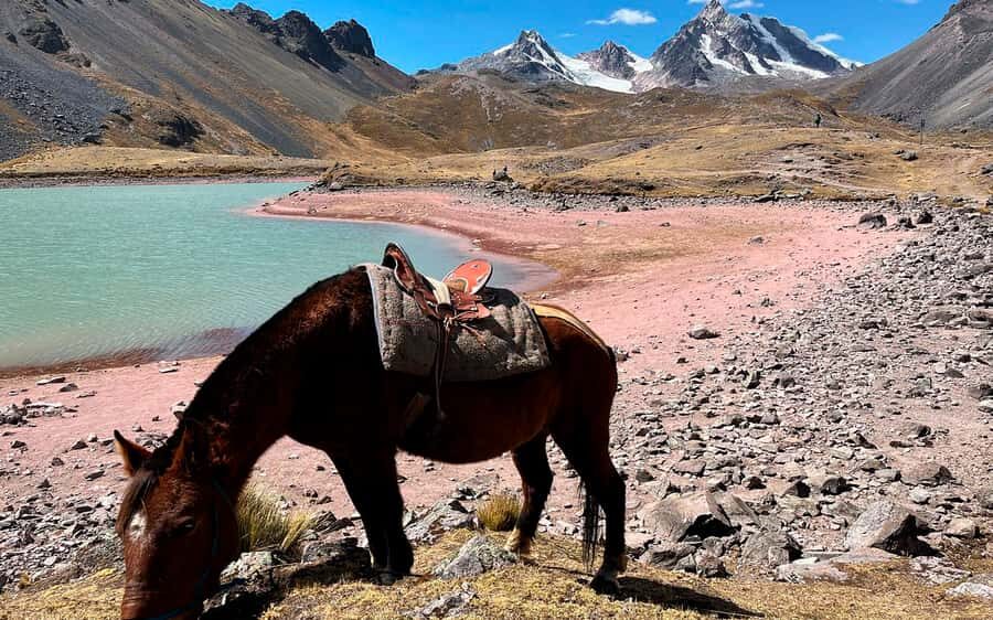 Excursion: Explore in one day the 7 lakes of Ausangate from Cusco - The Big Idea: Why the Seven Lakes From Ausangate Matter