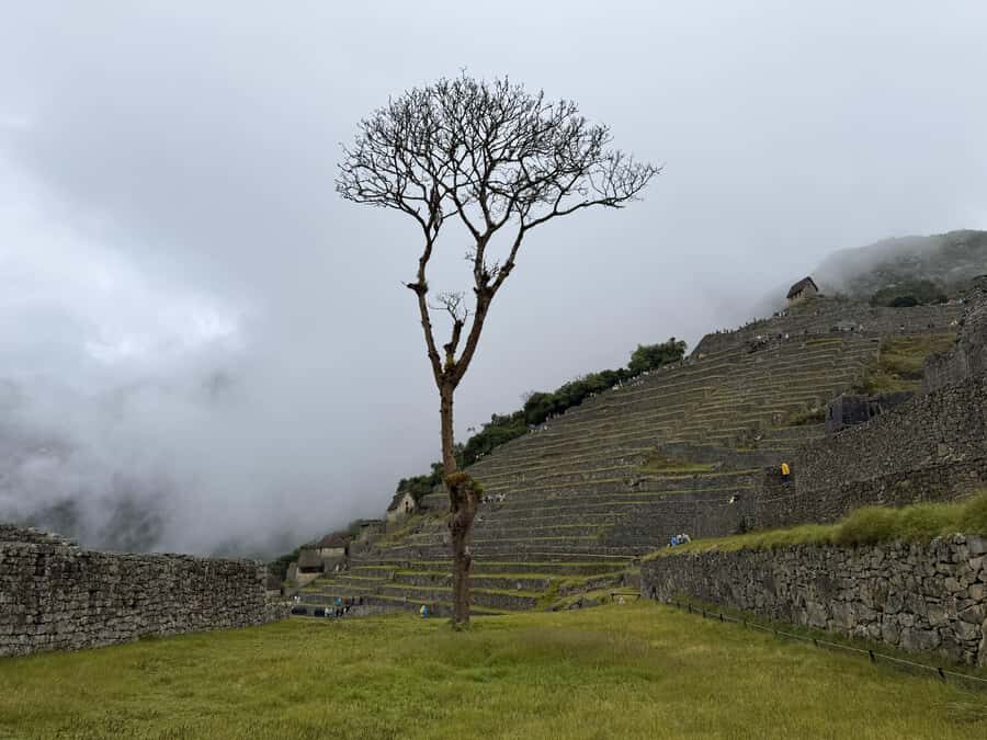 Excursion from Cusco to Machu Picchu + Entrance Tickets Incl - Service, guide coordination, and the “everything must line up” challenge