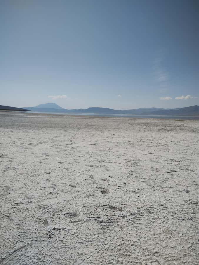 Excursion: Lagoon and National Reserve of Salinas and Aguada Blanca in Arequipa. - Key points I’d mark before you go