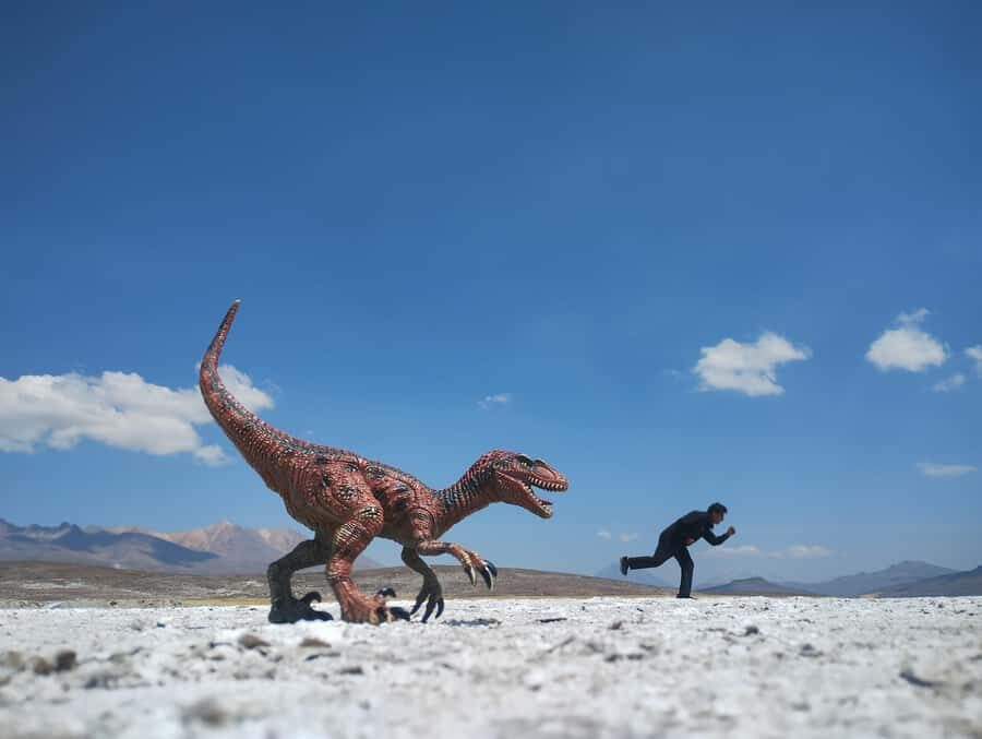 Excursion: Lagoon and National Reserve of Salinas and Aguada Blanca in Arequipa. - Getting Out of Arequipa Early: the 6:00 a.m. start