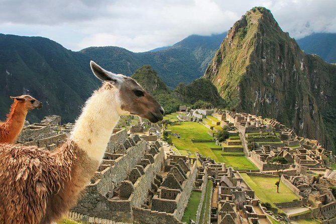 Excursion to MachuPicchu with Train Vistadome Full Day - Small Group Size: Why 15 People Can Feel Better