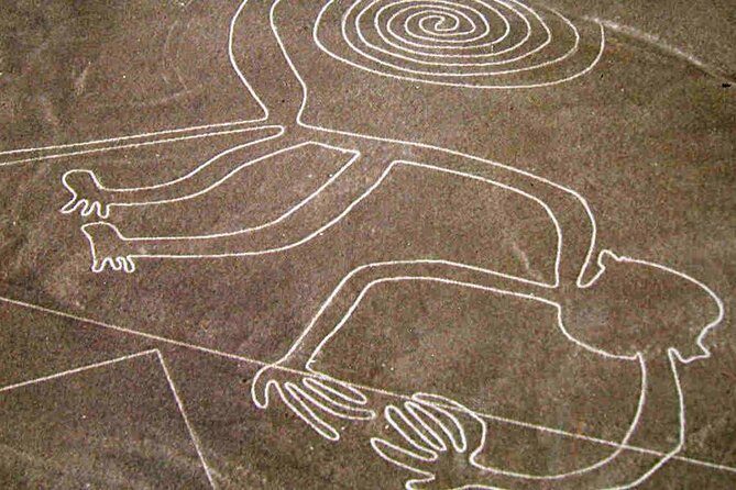 Flight Over the Nazca Lines from Pisco + Huacachina Oasis - Price and Value: Is $730 Worth It?
