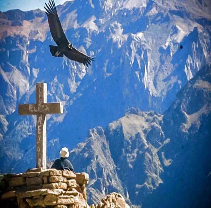 From Arequipa: 2-Day Colca Canyon Tour with Transfer to Puno - Key Points I’d Use to Plan This Trip