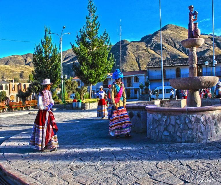From Arequipa: 2-Day Colca Canyon Tour with Transfer to Puno - Day 2 at Cruz del Condor: Canyon Views With a Condor Shot