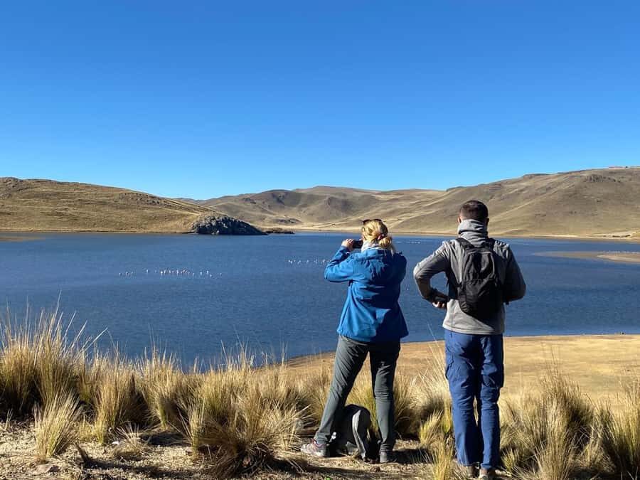 From Arequipa: Colca Canyon Day Trip with Transfer to Puno - The Canyon Edge hike and Mirador Cruz del Cóndor