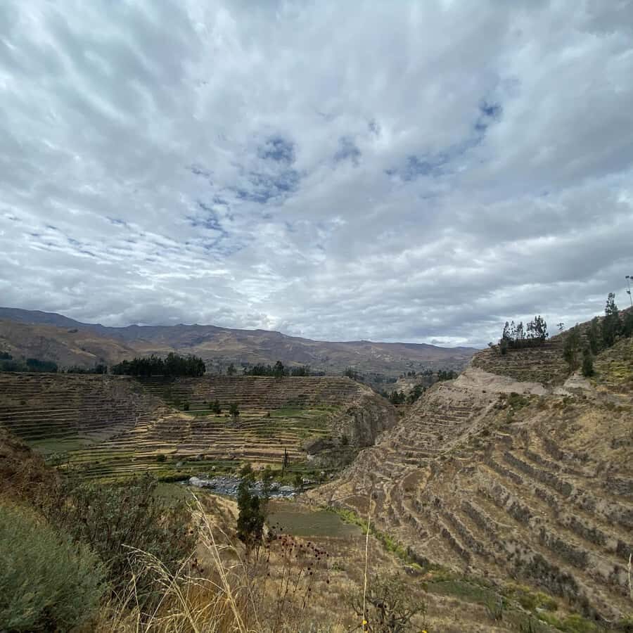 From Arequipa: Colca Canyon & La Calera Thermal Waters - Chivay lunch and the rhythm of a full day