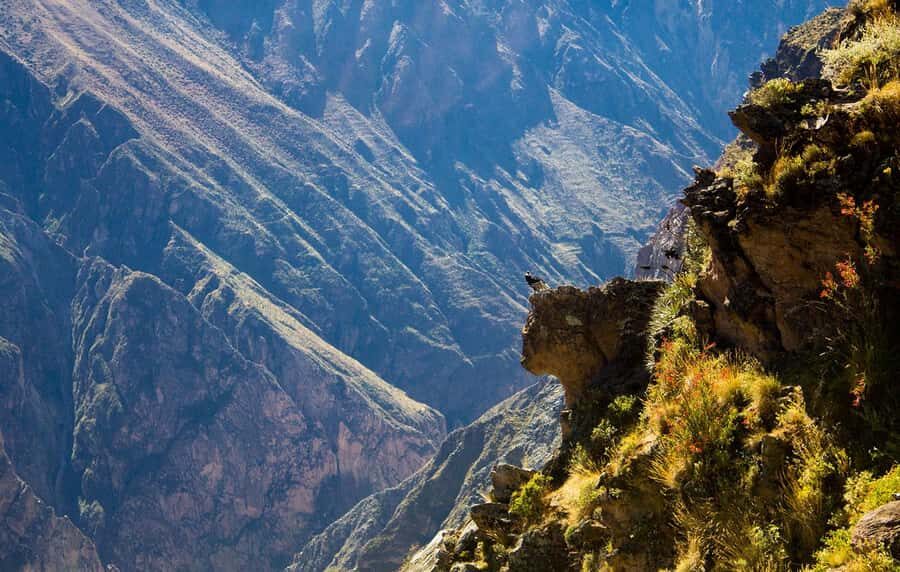From Arequipa: Colca Valley & Thermal Baths Small-Group Trip - Key points to know before you go