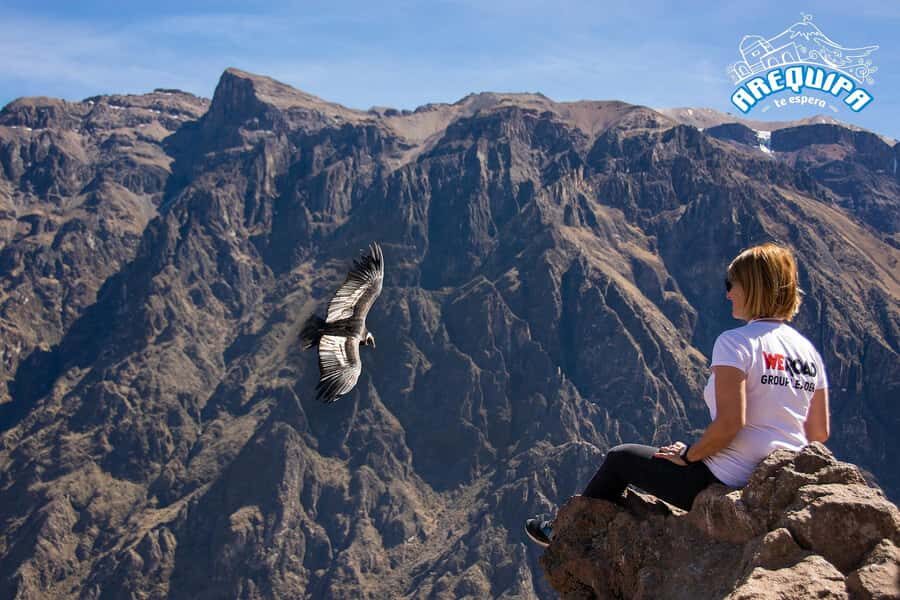 From Arequipa: Colca Valley & Thermal Baths Small-Group Trip - Before 3 a.m.: what this Arequipa-to-Colca day really feels like
