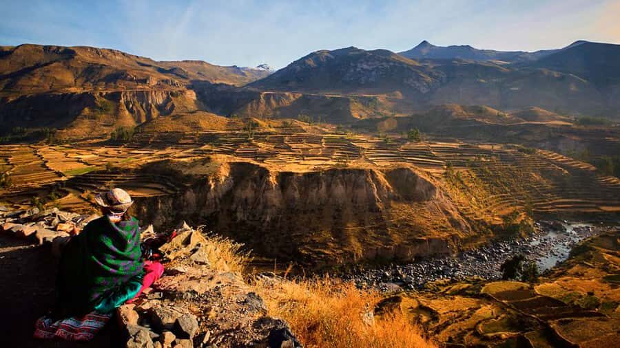 From Arequipa: Full Day Colca Canyon Tour - Cruz del Cóndor: where the condors are the star