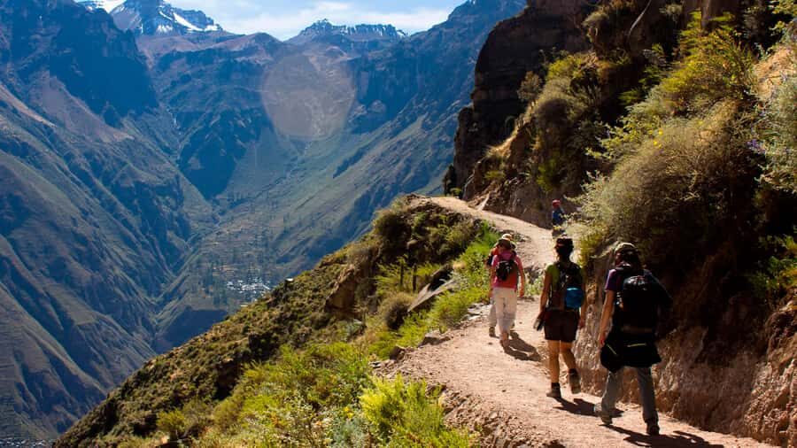 From Arequipa: Full Day Colca Canyon Tour - Salinas y Aguada Blanca: vicuñas and high-altitude nature without the fuss