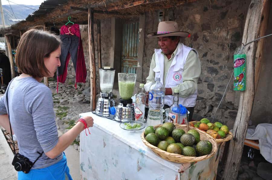 From Arequipa: One Day Trip to Colca Canyon Ending in Puno - The big idea: Colca Canyon plus Puno in one long day