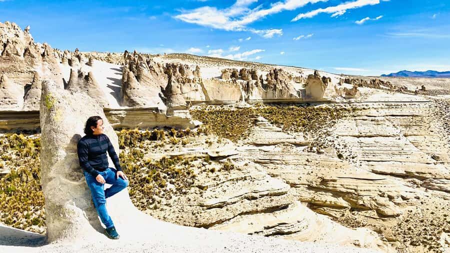 From Arequipa: Pillones Waterfall and Stone Forest Day Trip - Aguada Blanca Reserve and the Salinas stop for vicuñas