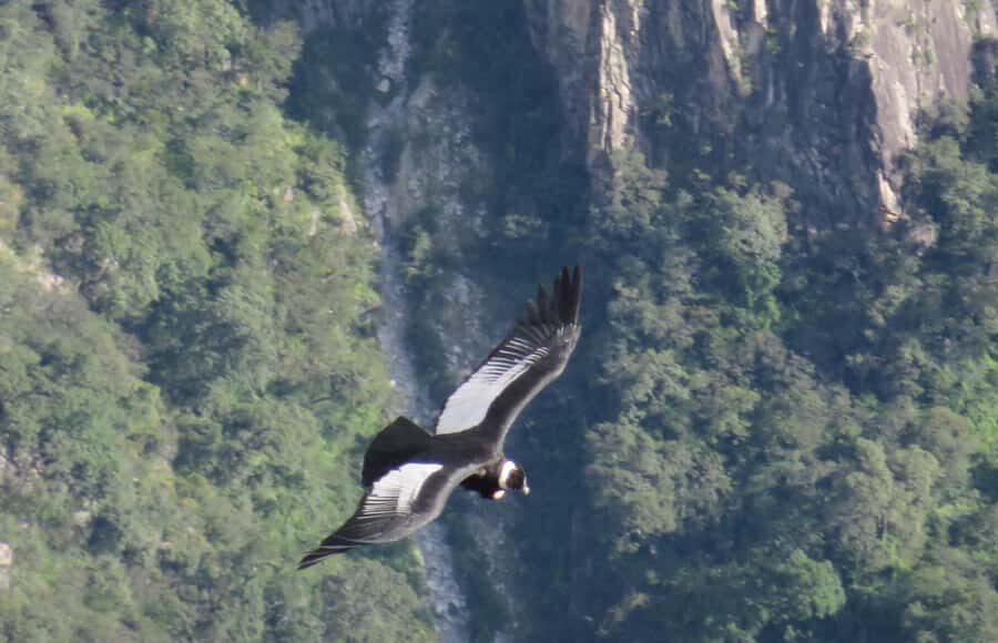 From Arequipa: Tour Colca Canyon 2 Days with End in Puno - Key moments you’ll notice right away