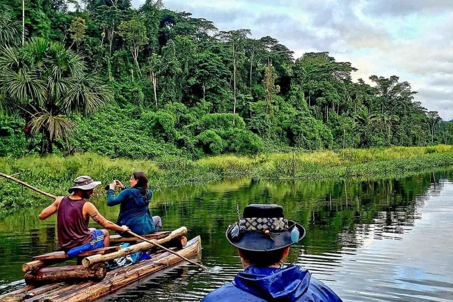 From Cusco: 4-Day Manu National Park Guided Tour - Who should book this Manu guided tour (and who should pass)