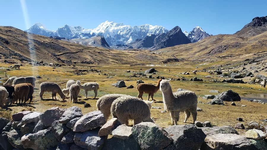 From Cusco: 7 Lakes of Ausangate Full Day Tour - Price and what $130 buys you in the real world
