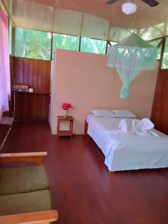 From Cusco: Amazon jungle for two days with sleeper bus and private lodge - Day 2: Tambopata National Reserve walk and the Sandoval Lake wildlife paddle