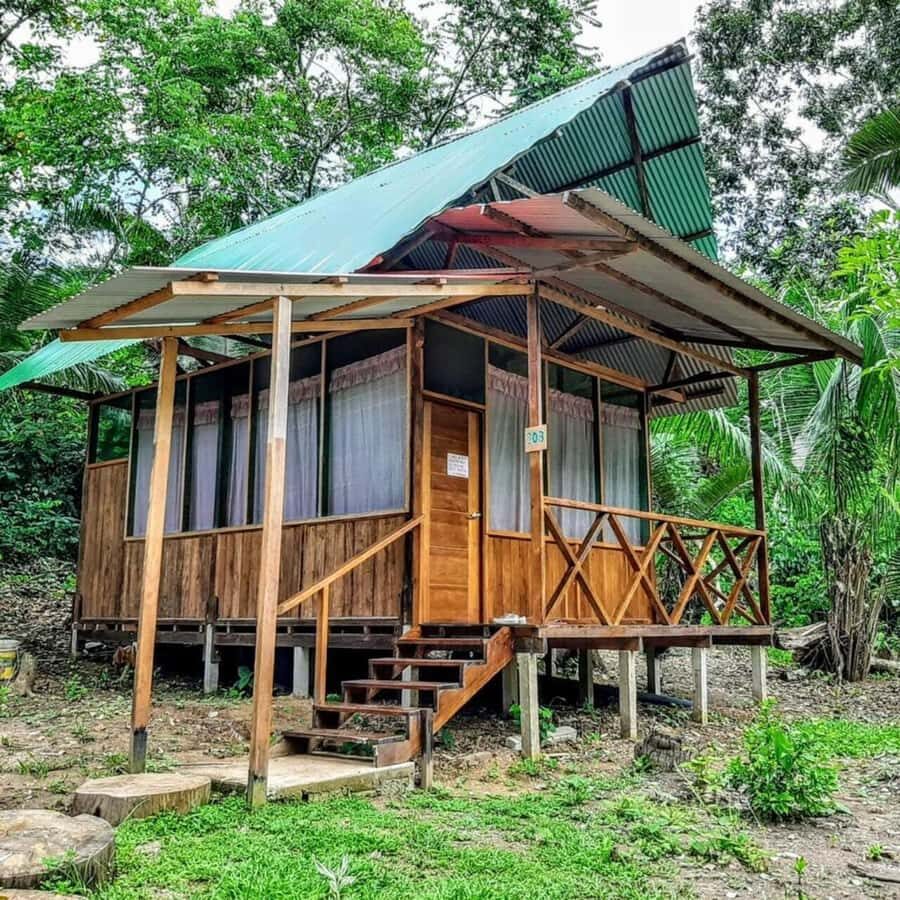 From Cusco: Amazon jungle for two days with sleeper bus and private lodge - Who should book this Amazon jungle tour from Cusco